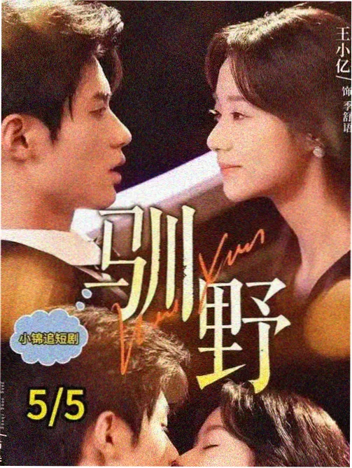 剧集封面